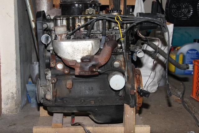 Cors281.JPG (458.01 KiB) 28458 mal betrachtet So sah der Kleine noch heute morgen aus.