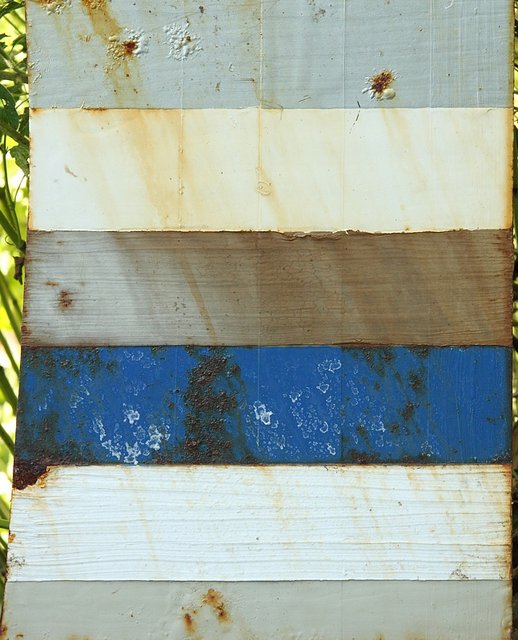 rost56.JPG